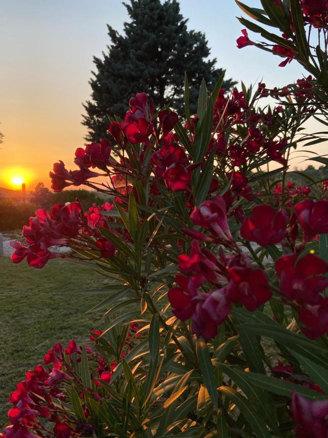 Villa Rina Pesaro Zewnętrze zdjęcie